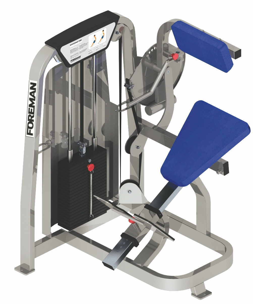 Нижние мышцы спины FOREMAN FS-305 черный